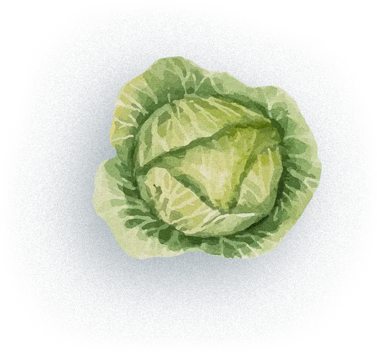 野菜イラスト
